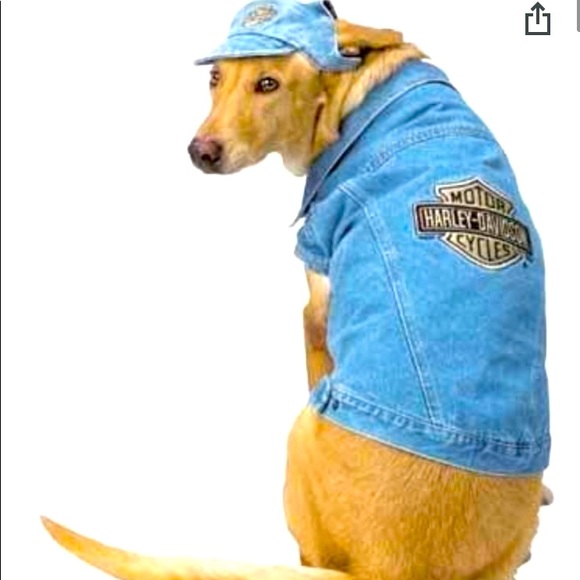 harley davidson dog jacket